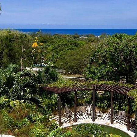 The Hole Villa Elsewhere מראה חיצוני תמונה